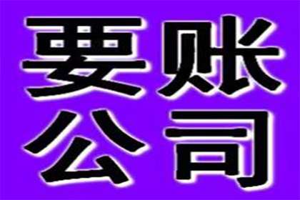 凌河清债公司